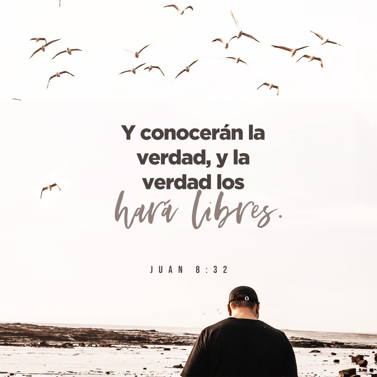 Rubén VERDUGO tweet media
