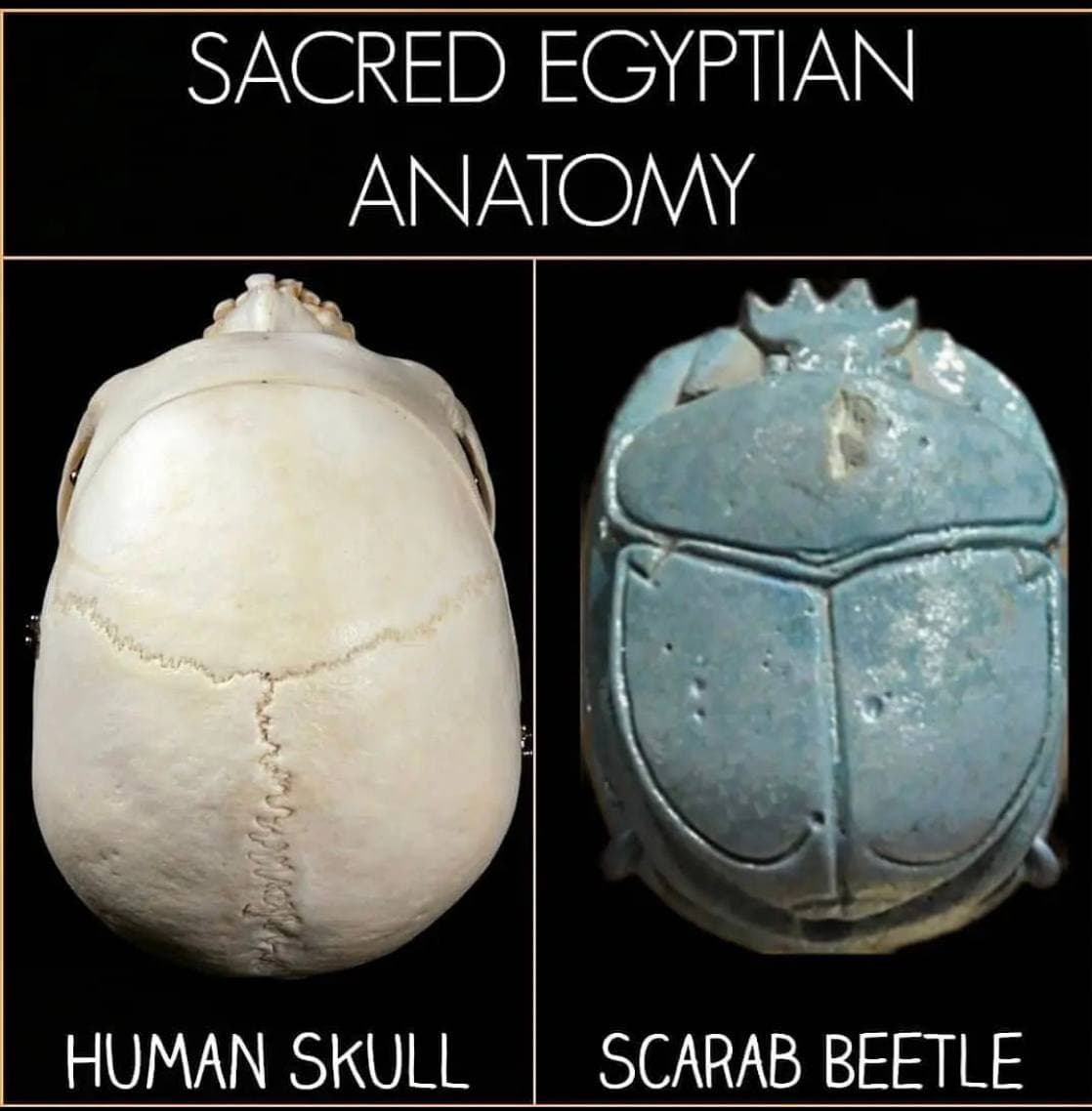 occultbot (@0ccultbot) on Twitter photo 