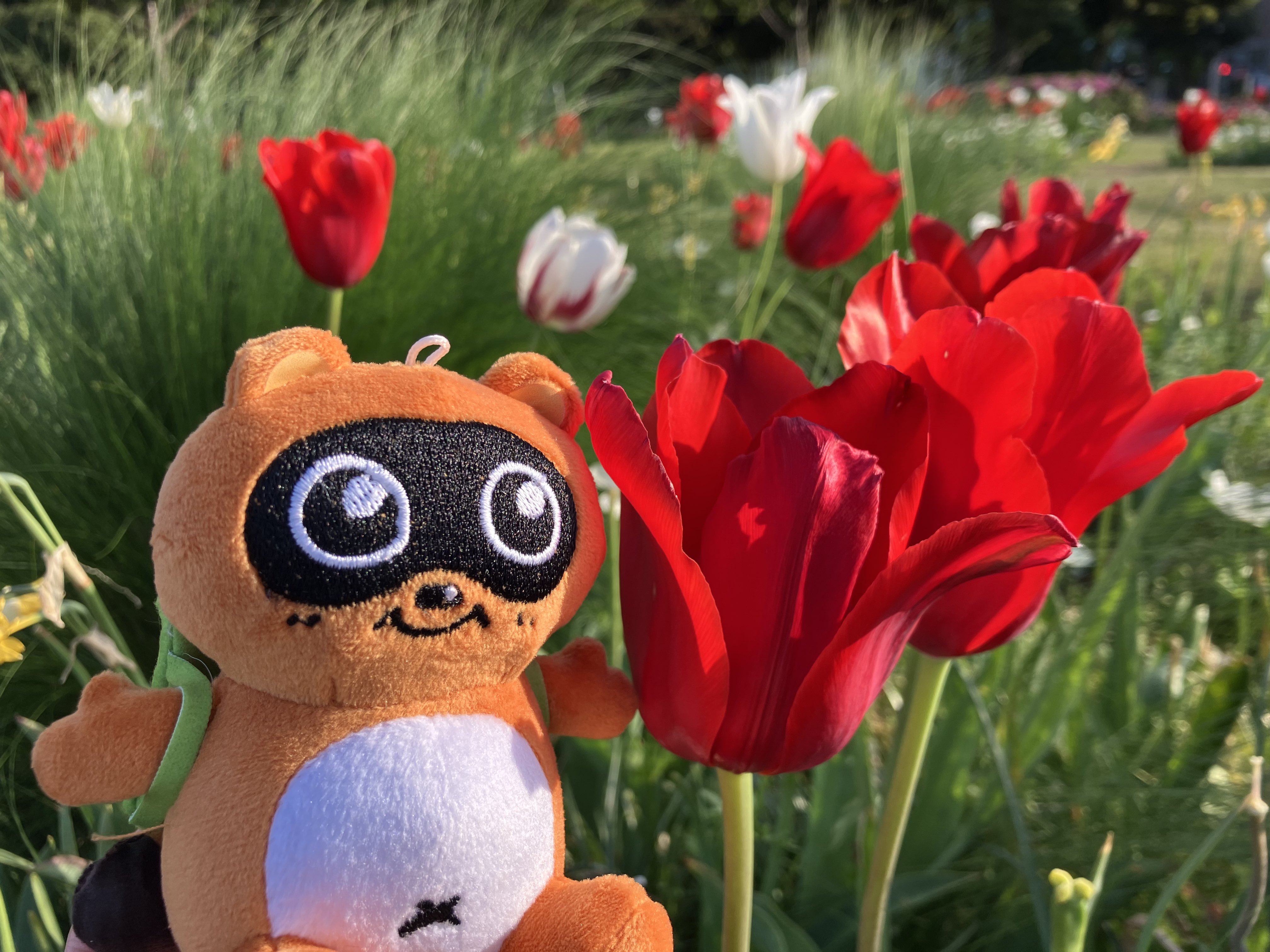 じゃけんくん on X: 