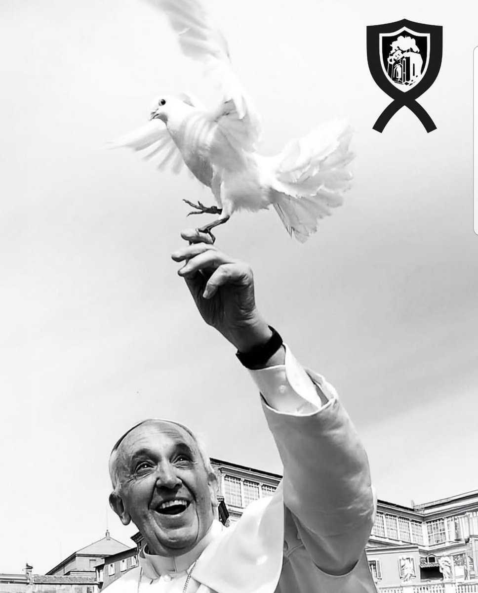 Vuela alto #PapaFrancisco 1936 - 2025 🕊