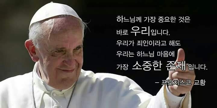 프란치스코 교황님

감사합니다
사랑합니다

평화의 안식을 빕니다