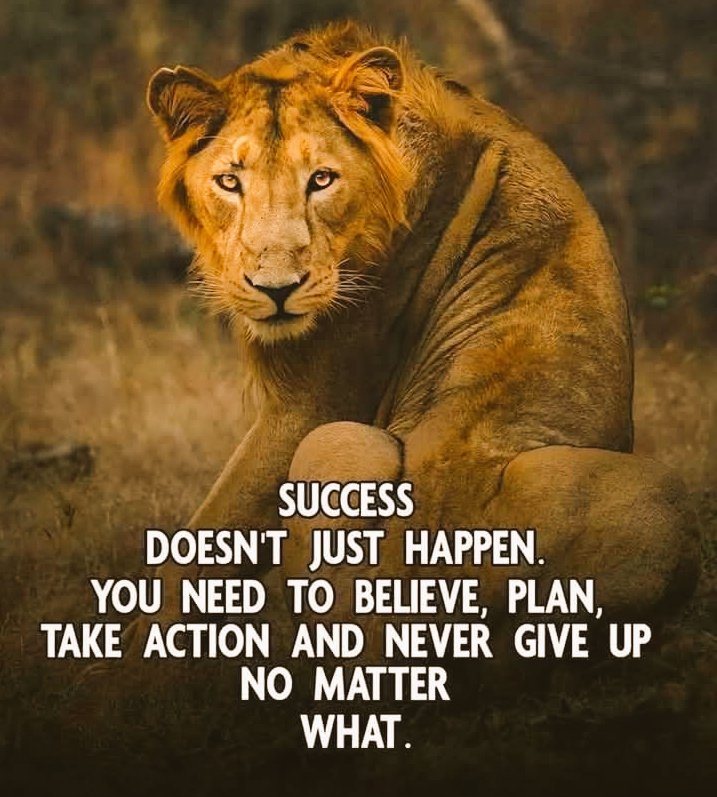 Success doesn't just happen.
You need to believe, plan, take action and never give up.
Have a blessed and beautiful day today Friends. 🌹🙏