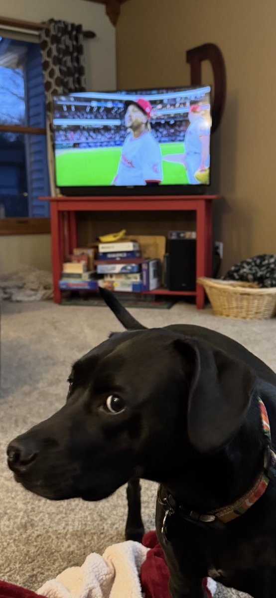 Go Guards!   Beat those Yankees tonight!  Eddie approves!