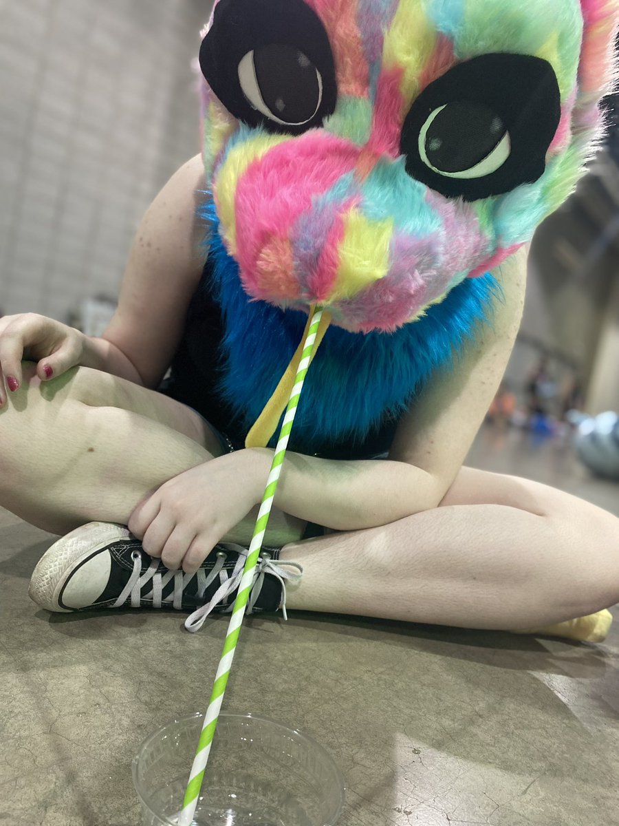 🐾 Nico 🐾 @ Anthrohio tweet media