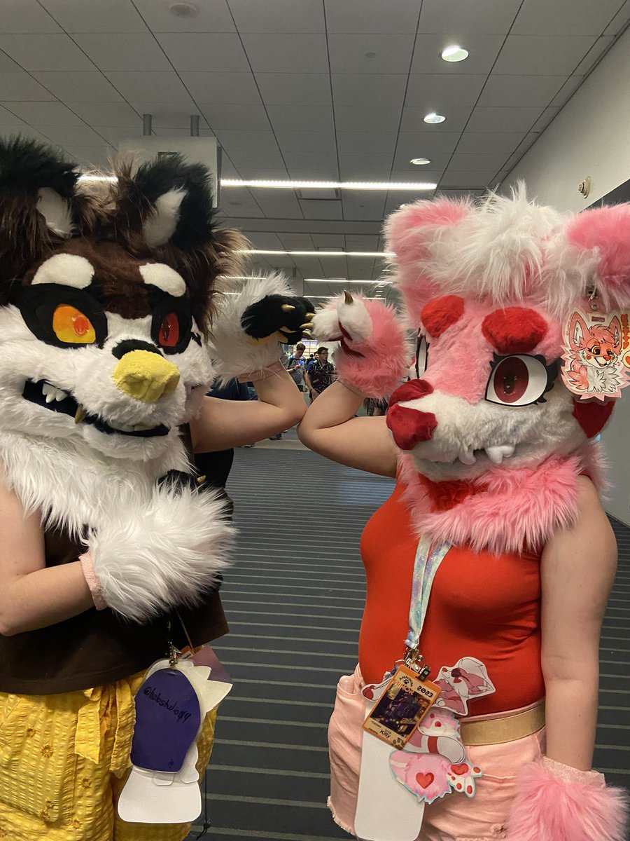 🐾 Nico 🐾 @ Anthrohio tweet media