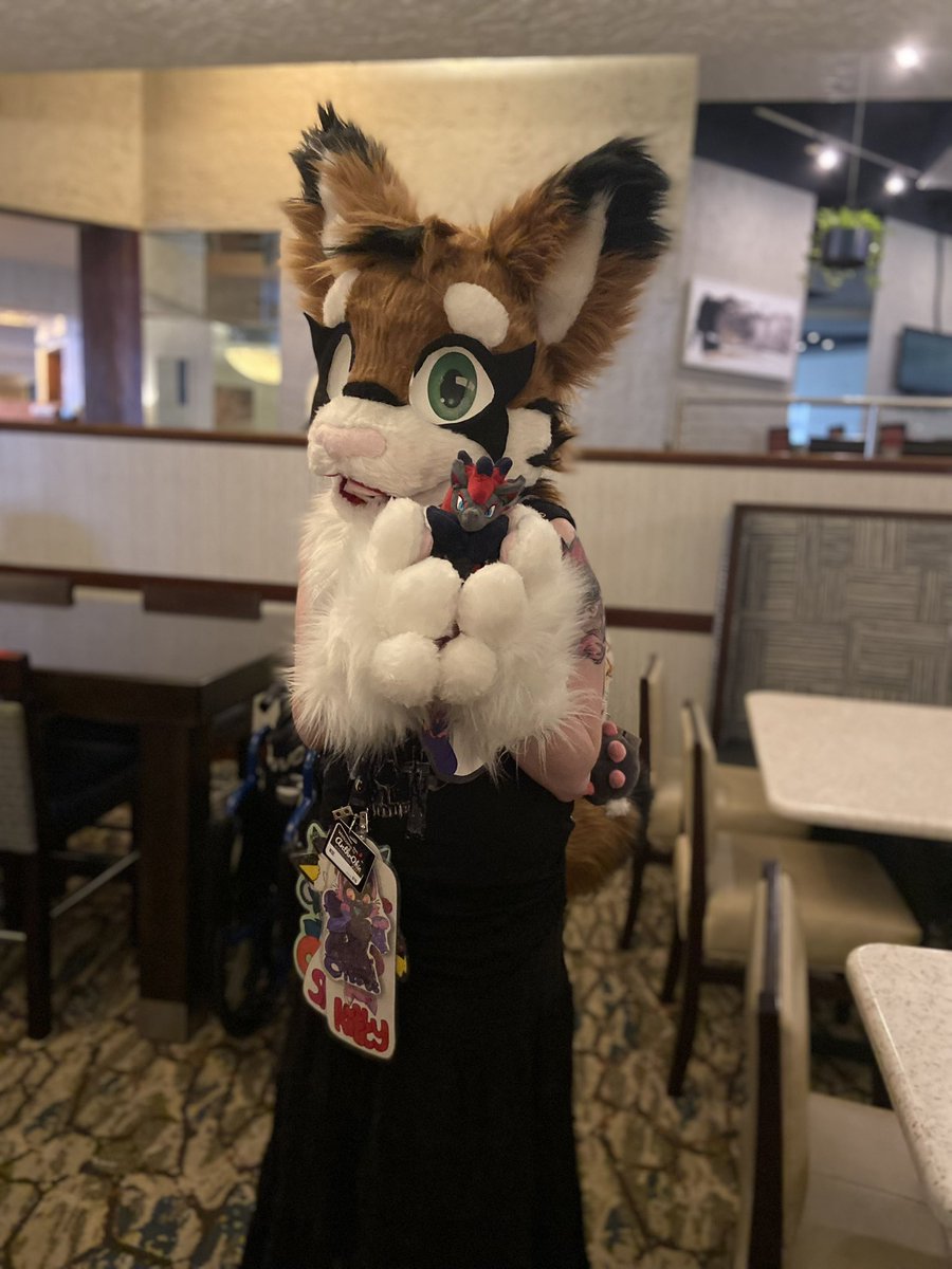 🐾 Nico 🐾 @ Anthrohio tweet media