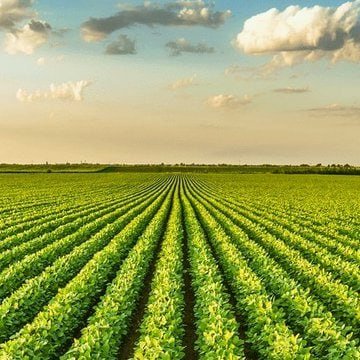 Red Line Report 🇺🇸 tweet media