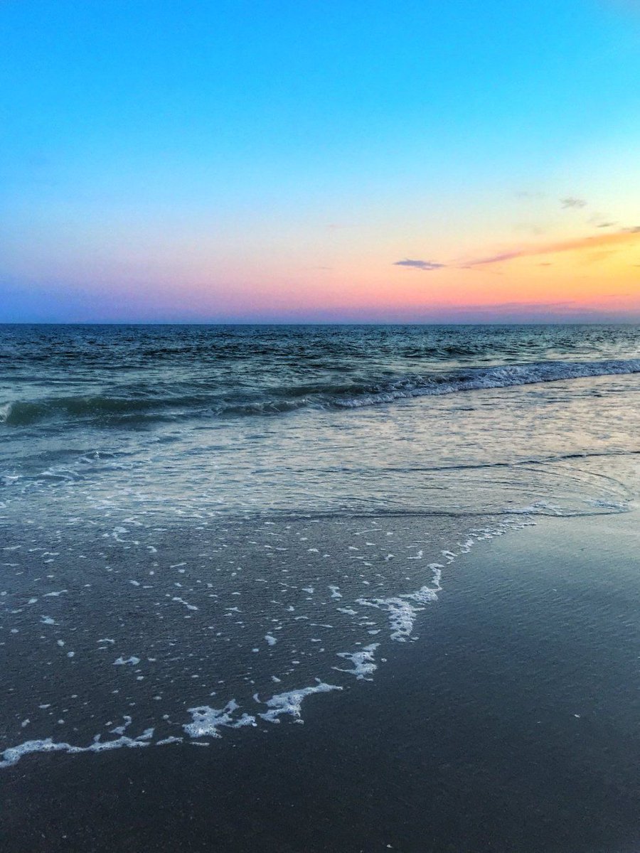 Aesthetics (@aestheticspost_) on Twitter photo 