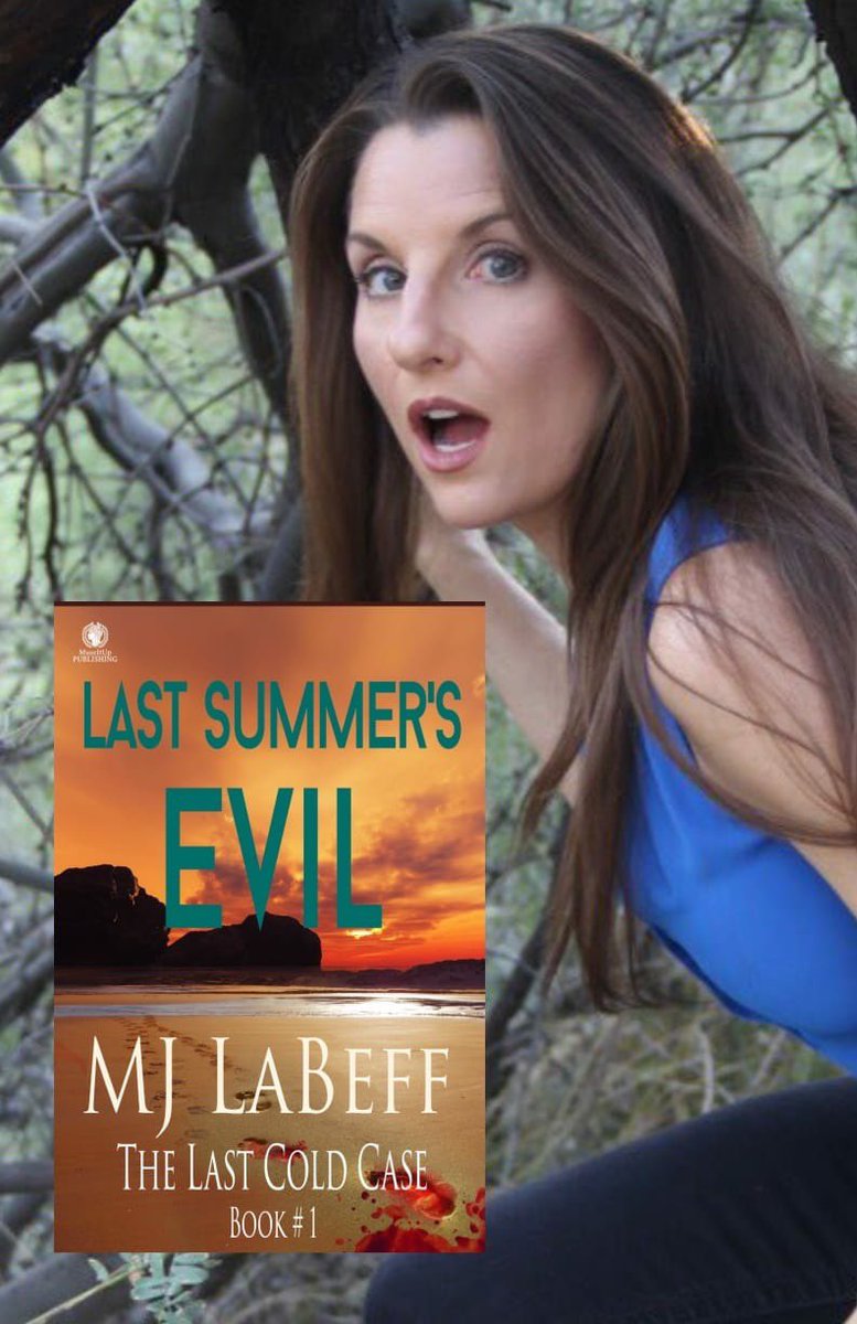 A serial killer collects and kills women, leaving a sick signature behind. A handmade ragdoll crafted from the previous victim’s clothes is found in the clutches of the deceased women in Last Summer’s Evil #1 Last Cold Case #thriller #mystery #readers getbook.at/LSE