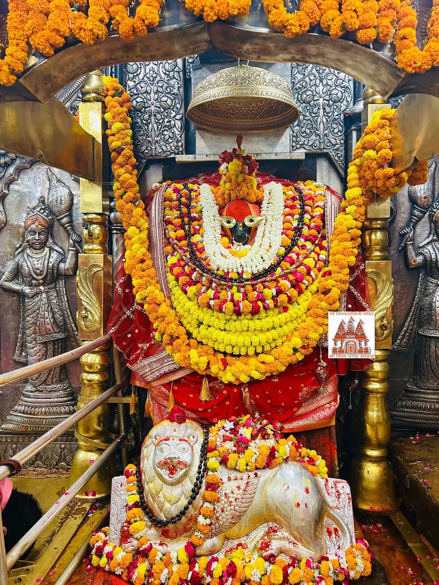 विंध्याचल से मां विंध्यवासिनी जी के दिव्य अलौकिक दर्शन 🙏