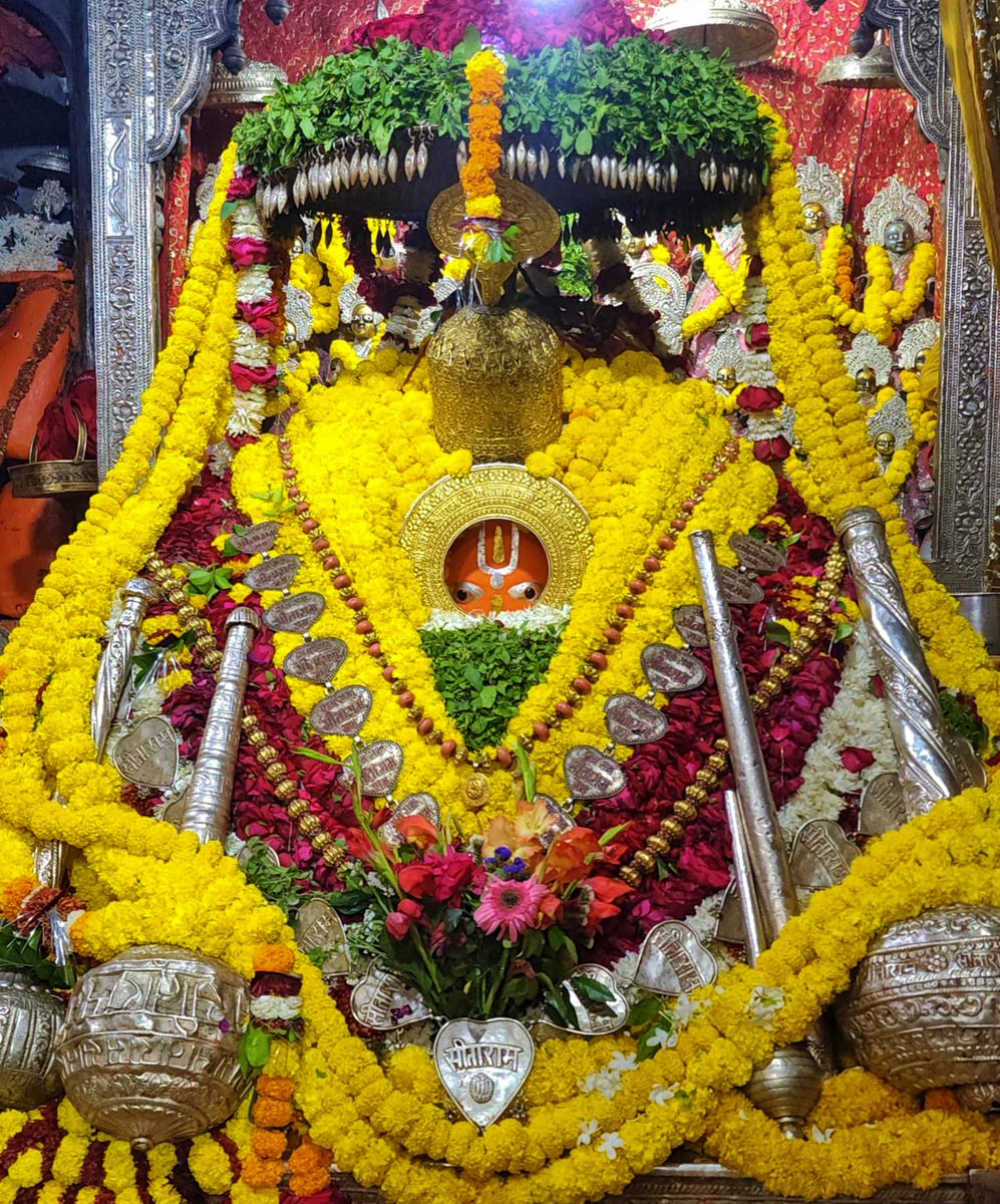 अयोध्या से महाराजाधिराज श्री हनुमानजी महाराज के दिव्य अलौकिक शुभ दर्शन 🙏🌿