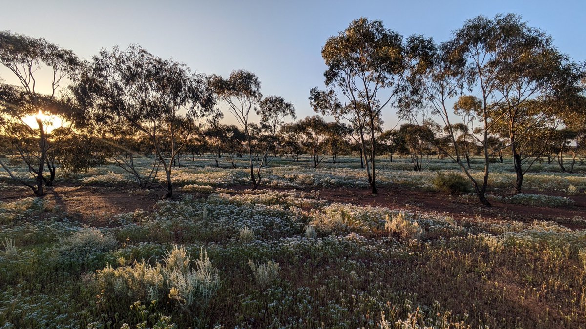 It’s Earth Day 2025. This year, we’re reminded that it’s not one crisis, but two:
Climate is heating. Nature is vanishing. Support our efforts - hubs.ly/Q03jcrvF0
