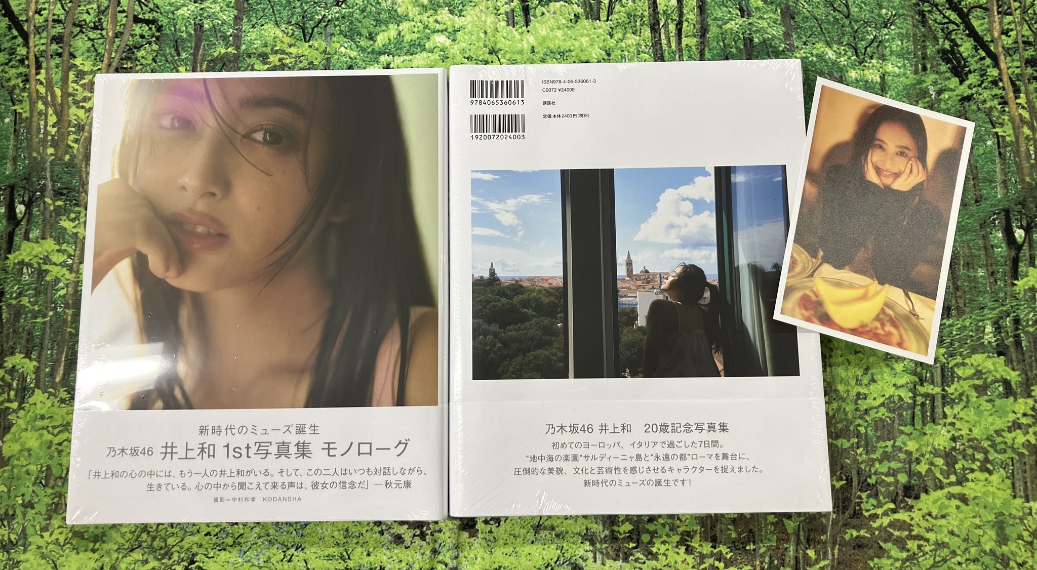 井上和 写真集 モノローグ ポスター 会場限定 バースデーライブ味の素スタジアム 井上和 写真集 モノローグ ポスター 会場限定 バースデーライブ