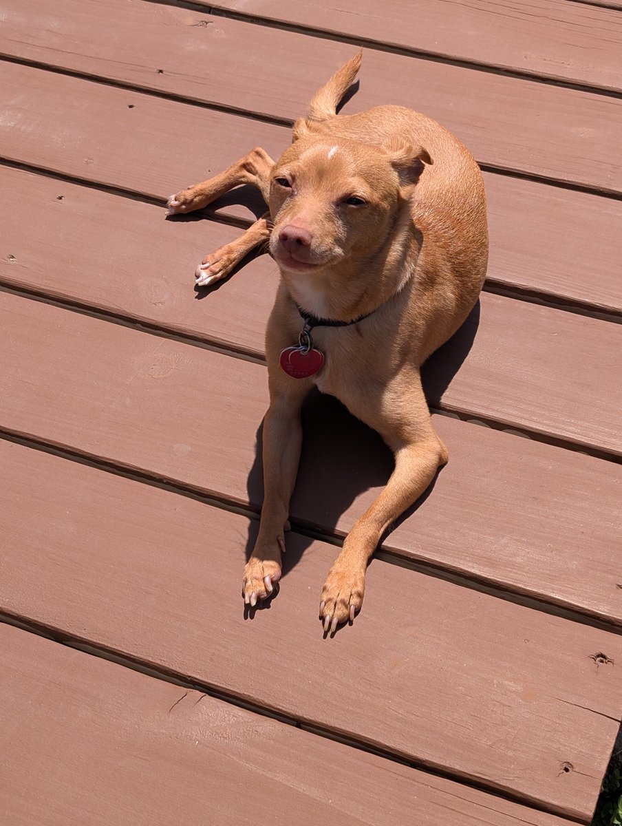 Sean Baker tweet media