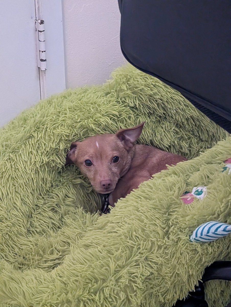 Sean Baker tweet media