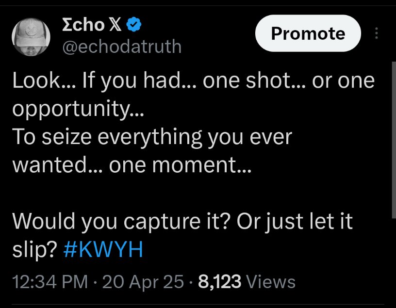 Echo 𝕏 tweet media