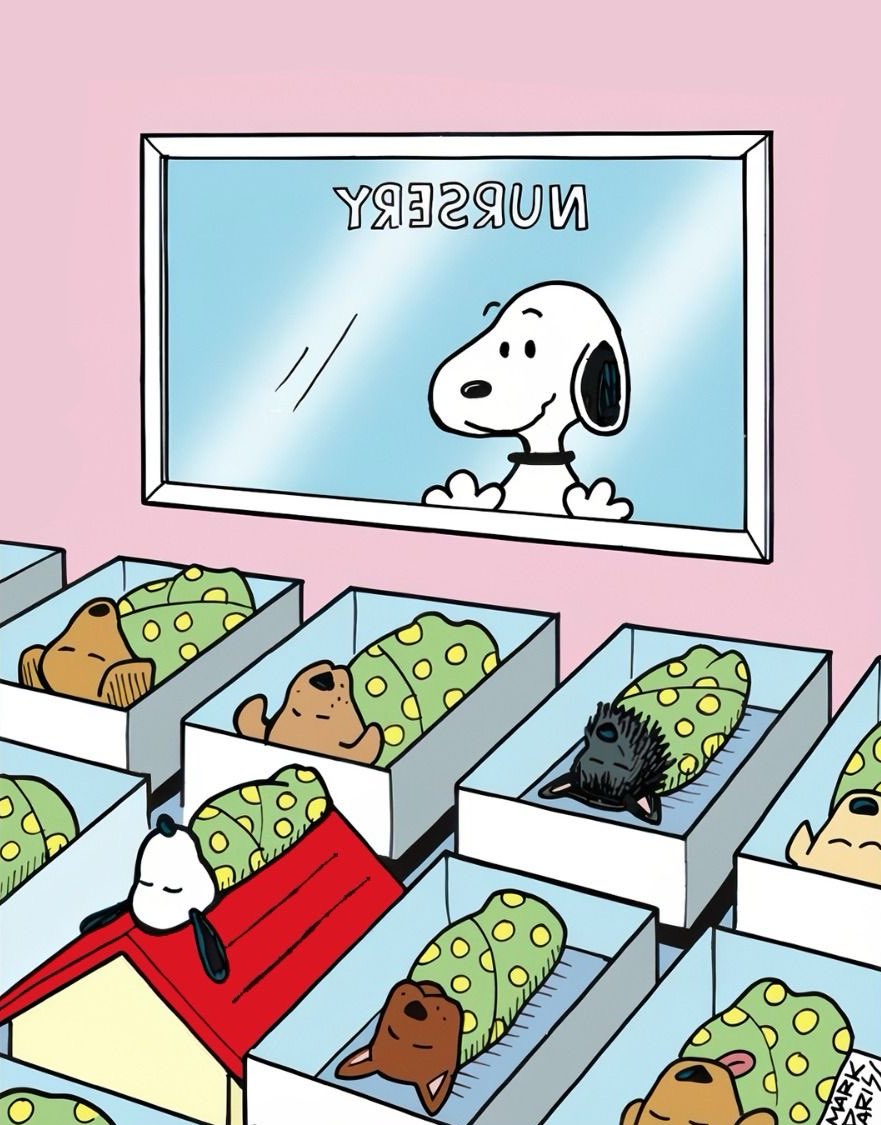Daily Snoopy tweet media