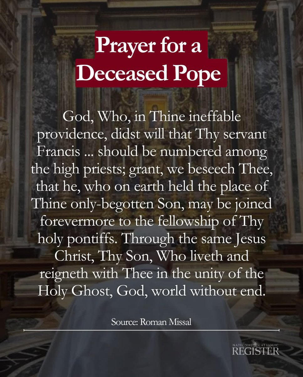 FederationofCa1's tweet image. 