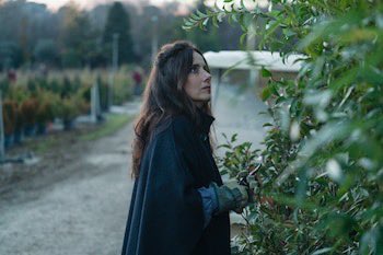 Antonio Morin tweet media