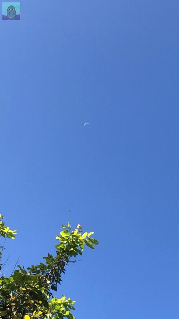 tanyakanrl's tweet image. 💚 ayo pap poto langit yg kalian ambil sendiri, pengen liat yg biru-biru