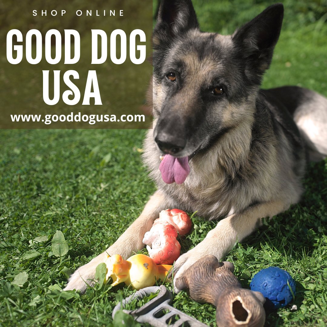gooddogusaco's tweet image. Spring Into Tail Wags! 🐶🌼
The flowers are blooming, and your pup is ready to zoom! Stock up on spring toys, treats, and more—shop now and let the fun blossom! 🌷🐾
#SpringWithDogs #ShopForDogs #TailWaggingFun #HappyPup  #SpoilYourDog #DogLovers #SpringVibes #BestForDogs