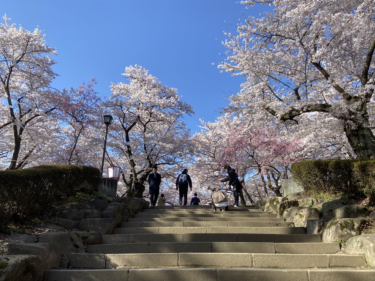 盛岡にて
これ以上なく清々しい朝活を
やっぱり旅に出ていなくては！！！