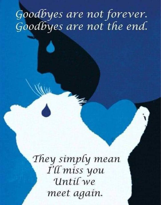 Lpowell588Lady's tweet photo. @surfingiantsfan I hope this brings you some comfort. #ItsNotGoodbye #UntilWeMeetAgain #OverTheRainbowBridge #ForeverInOurHearts #loveneverdies https://t.co/BpFP0lYFaG