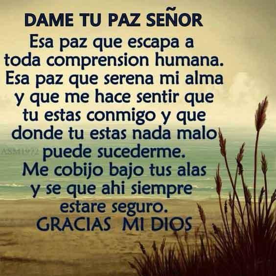 Maynor morales (@maynor69110298) on Twitter photo 