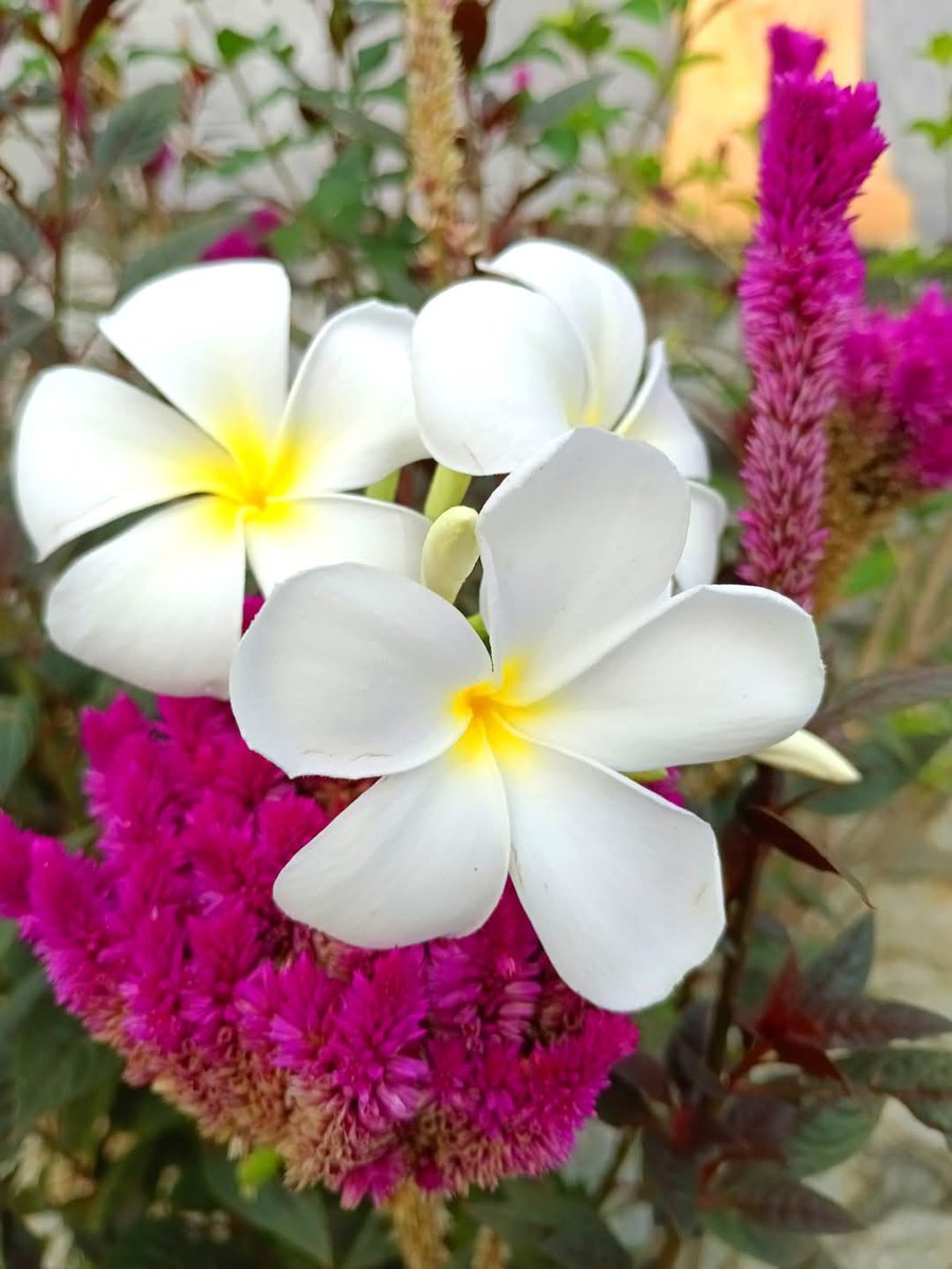 बेहतरीन दिनों के लिए

बुरे दिनों से लड़ना पड़ता है...

#Unknown