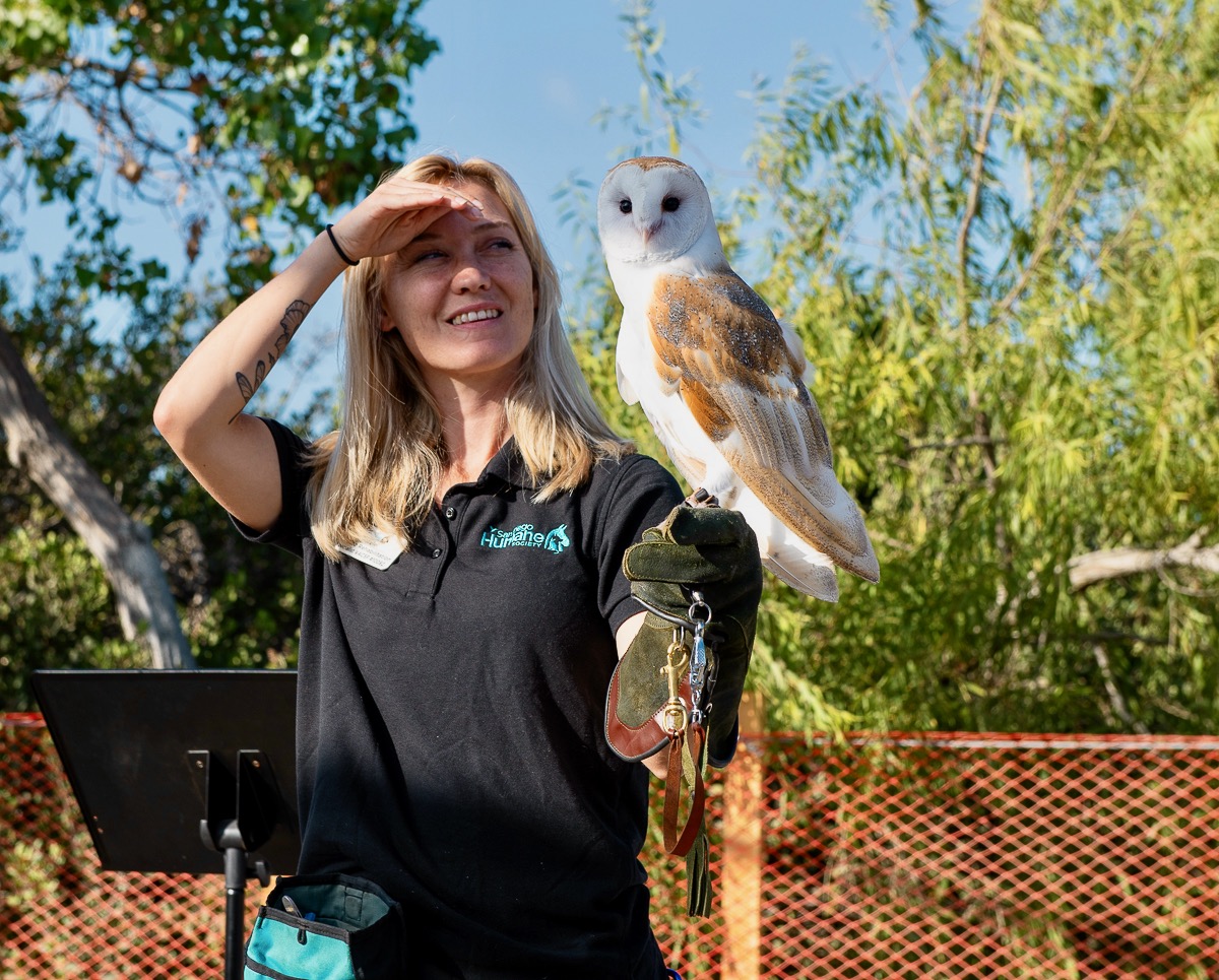 San Diego River Park Foundation (@sandiegoriver) on Twitter photo Exciting News: Project Wildlife from <a href="/sdhumane/">San Diego Humane Society</a> will be joining us at our 5k Walk for Wildlife! Plus, live music with Timmy D and much more! Do not miss this fun-filled morning to raise funds for vital wildlife conservation research! Sign up: raceroster.com/events/2025/10⦠Exciting News: Project Wildlife from <a href="/sdhumane/">San Diego Humane Society</a> will be joining us at our 5k Walk for Wildlife! Plus, live music with Timmy D and much more! Do not miss this fun-filled morning to raise funds for vital wildlife conservation research! Sign up: raceroster.com/events/2025/10ā¦