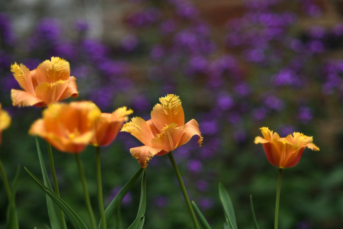 jl_manfre's tweet photo. @NikonUSA Nikon d500. I would love to go mirrorless! https://t.co/Pwq90UUX3t