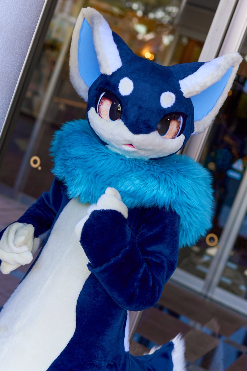よちよち楯無の３年アニバーサリーですよ！

It's Tatenashi's 3rd anniversary today!
FWA's right around the corner and the waddler can't wait to see everyone again...