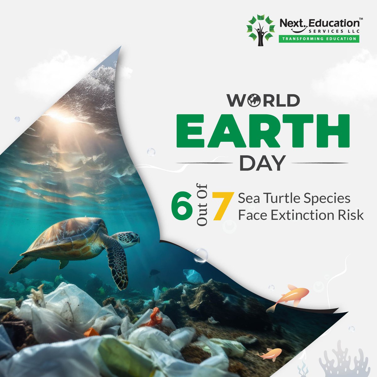 NextEducationAE's tweet image. 6 of 7 sea turtle species face extinction from pollution & climate change. This Earth Day, let’s protect marine life. #EarthDay2025 #SaveSeaTurtles #NextEducation