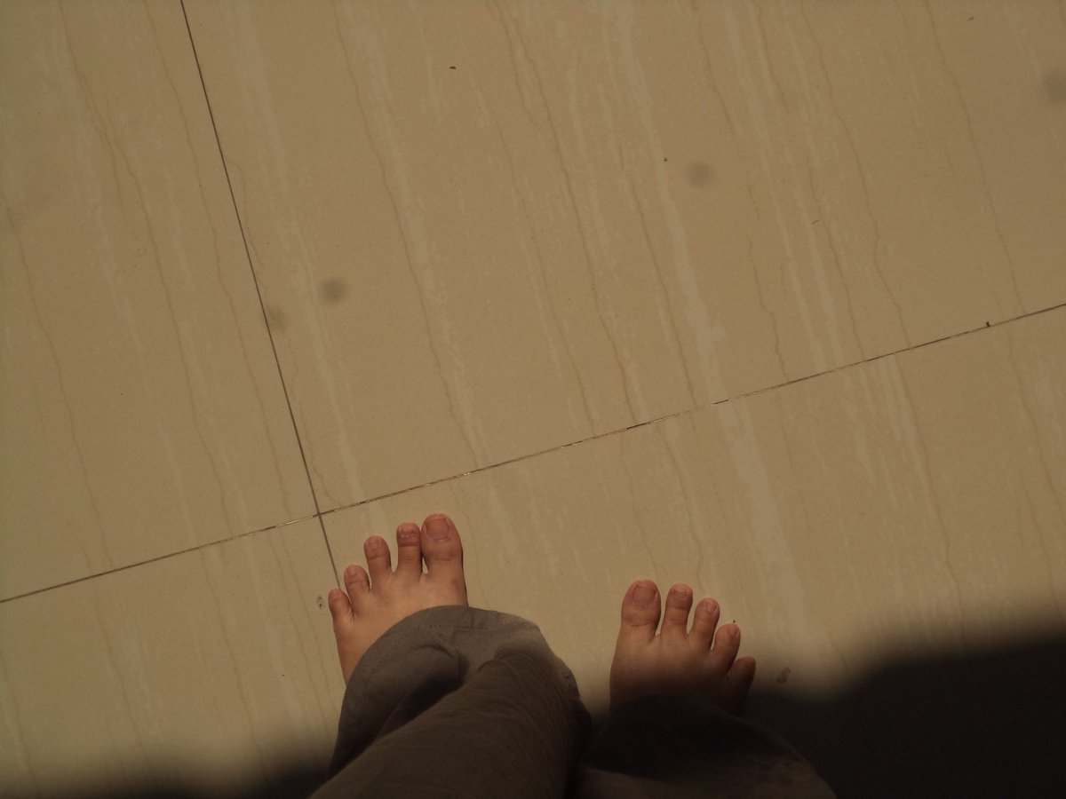 reyy 🦩| WTS DIGICAM tweet media