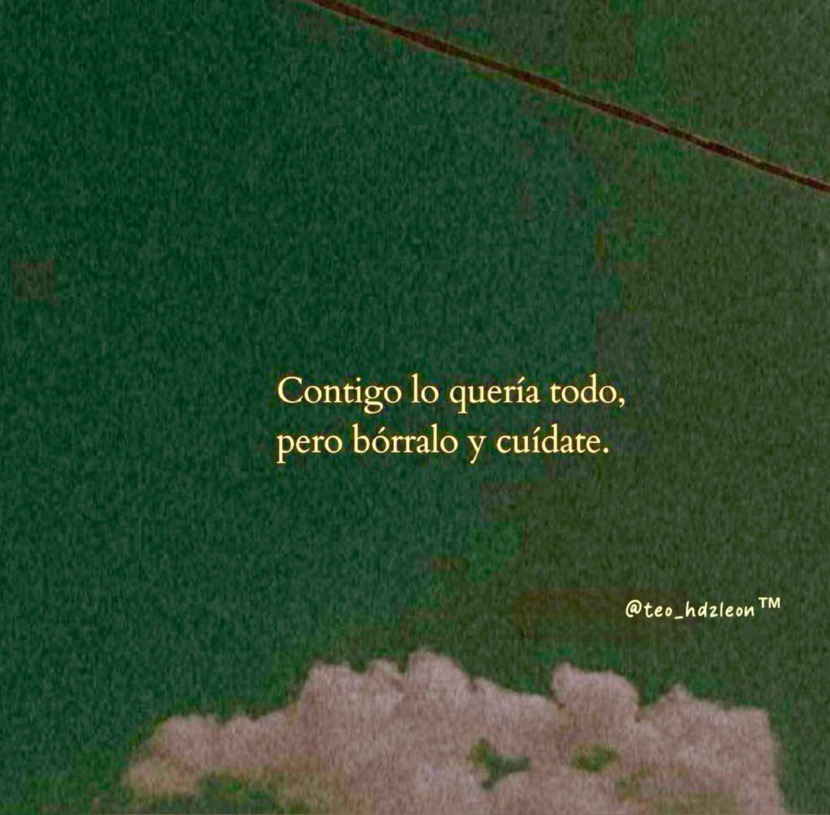 vibesfyp's tweet image. 