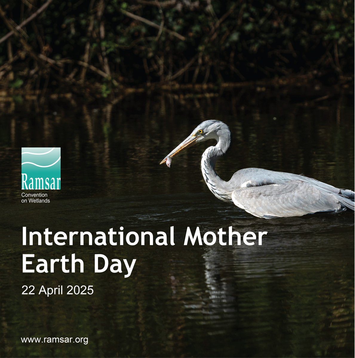 Mother Earth is clearly urging a call to action. 

Nature is suffering. Oceans filling with plastic and turning more acidic. Extreme heat &amp; floods, have affected millions of people. 

That is why we need to recover our ecosystems. Ecosystems support all life on Earth. #EarthDay