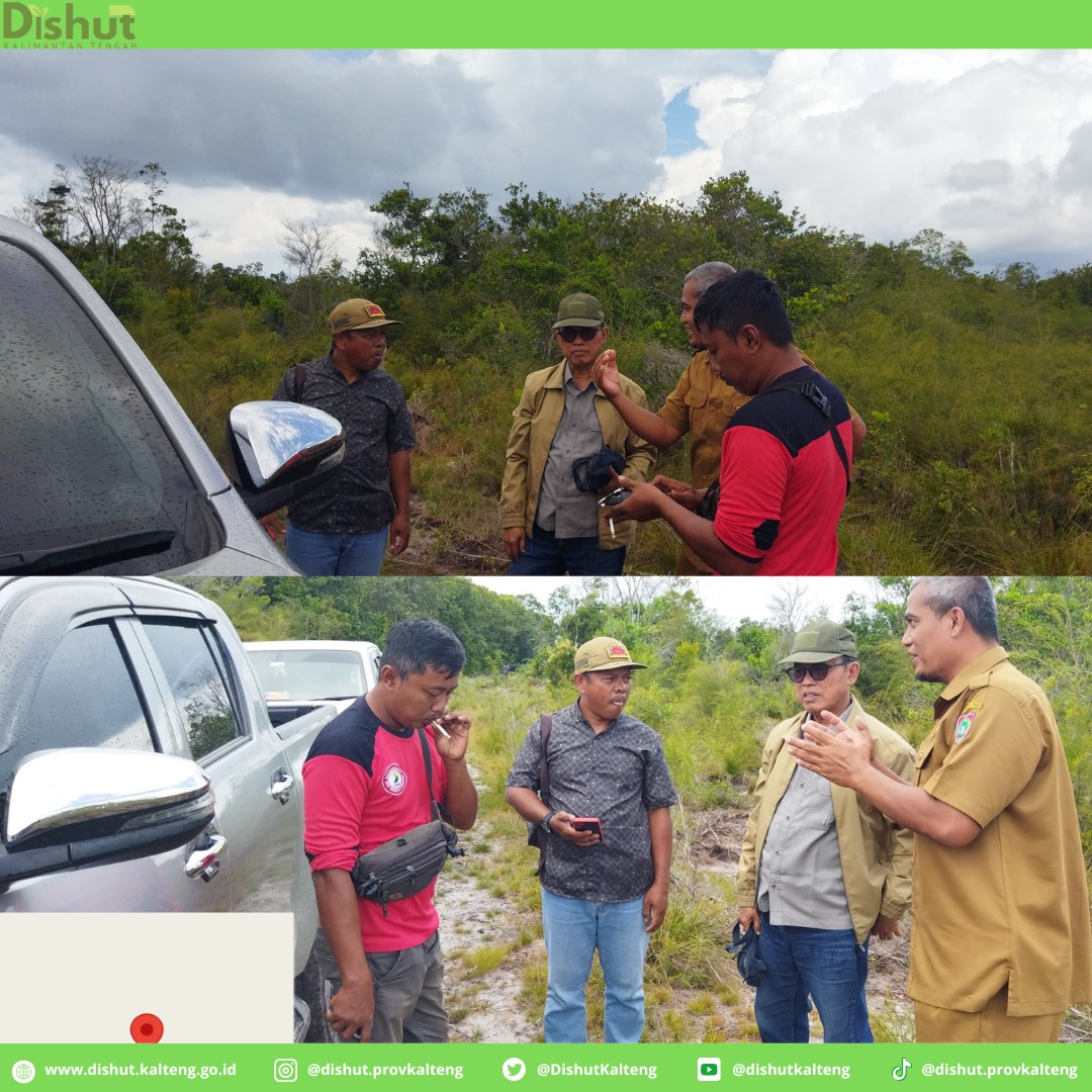 DishutKalteng's tweet image. 🌱 Ground Check Lokasi Rehabilitasi Hutan dan Lahan di Desa Sungai Pasir 🌱

#RehabilitasiHutan #TukarMenukarKawasan #KPHP #KolaborasiLestari #KaltengHijau #JagaAlam #HutanUntukMasaDepan #
#kaltengmakinberkah
#kaltengberakhlak
#dishut
#dishutprovkalteng
#kalteng
#palangkaraya
