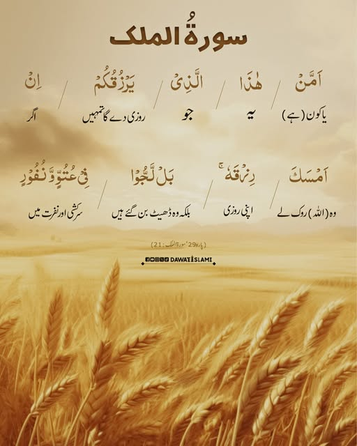 MADANIinfo's tweet photo. قرآن پاک کی عظیم سورت
ایک آیت ترجمہ کے ساتھ
21
#Sorah #mulk #Quran #translation https://t.co/qmbu0ZW06k