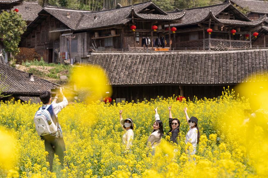 Spring is here, China's tourism economy in full bloom. Lucid waters and lush mountains are invaluable assets. The flower-viewing economy has proved this philosophy.