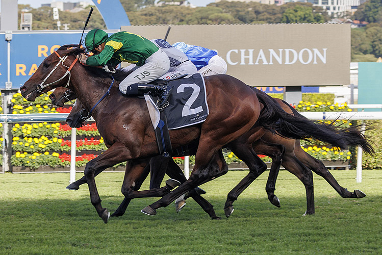 R&S Bloodstock (@rs_bloodstock) on Twitter photo The numbers are in and <a href="/TrentC_Racing/">Trent Crebbin ššæ</a> has run the rule over how Saturday's Group 1 winners, Nepotism and Jimmysstar, stack up from a ratings perspective.
racingandsports.com.au/news/racing/in⦠The numbers are in and <a href="/TrentC_Racing/">Trent Crebbin ššæ</a> has run the rule over how Saturday's Group 1 winners, Nepotism and Jimmysstar, stack up from a ratings perspective.
racingandsports.com.au/news/racing/inā¦