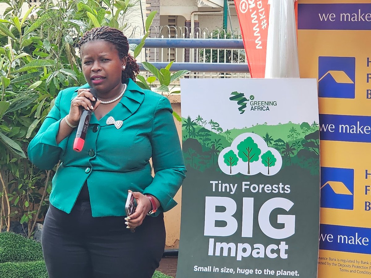 Greening Africa tweet media
