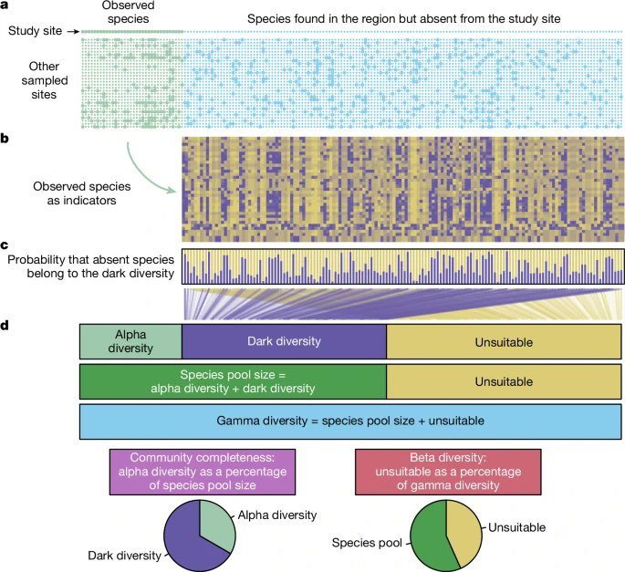 Our colleagues were part of research team dealing with the dark diversity. You can read their findings in open-acces Nature paper: Global impoverishment of natural vegetation revealed by dark diversity

rdcu.be/eiHe5