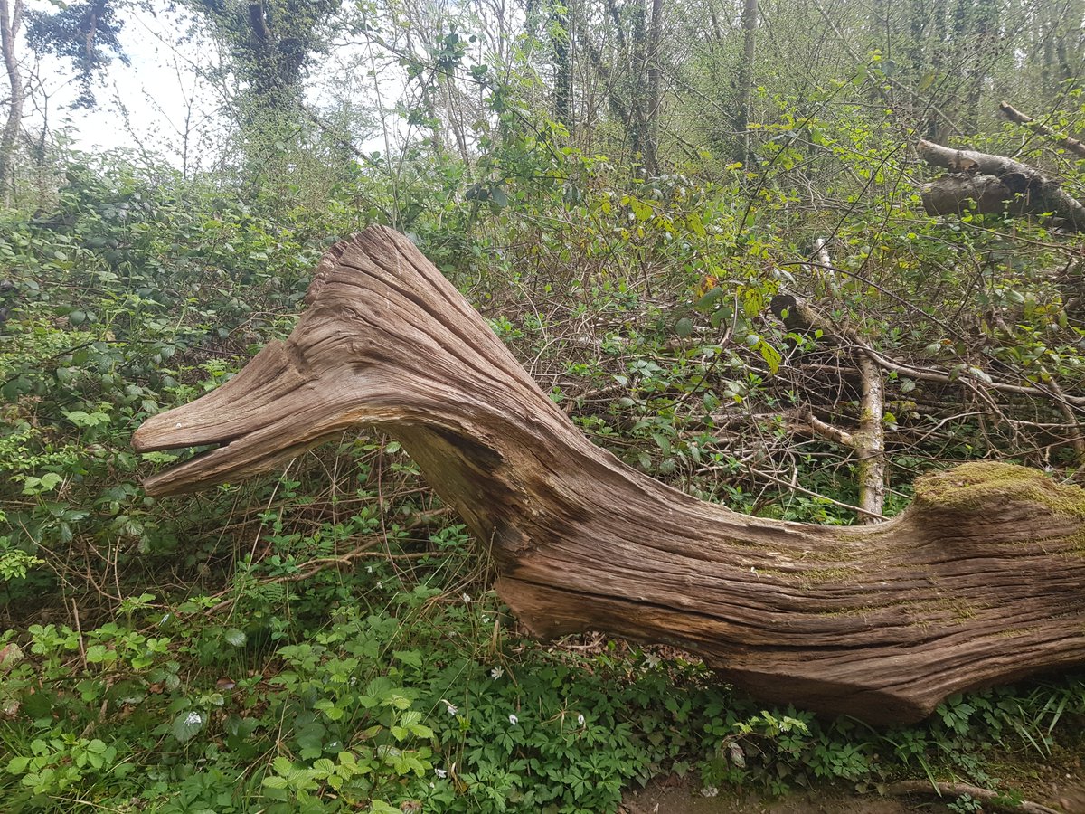 CrikeyIt'sCroydon tweet media