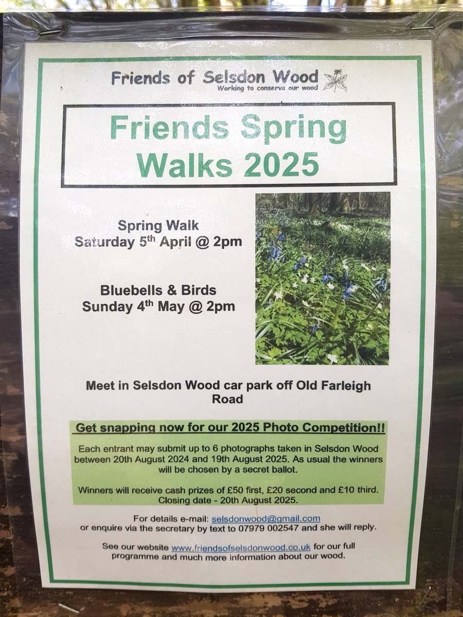 The famous horse/dragon of Selsdon Wood Nature Reserve! If you want to learn more about this magnificent 200-acre expanse of ancient woodland and fields, consider joining one of the upcoming guided walks.