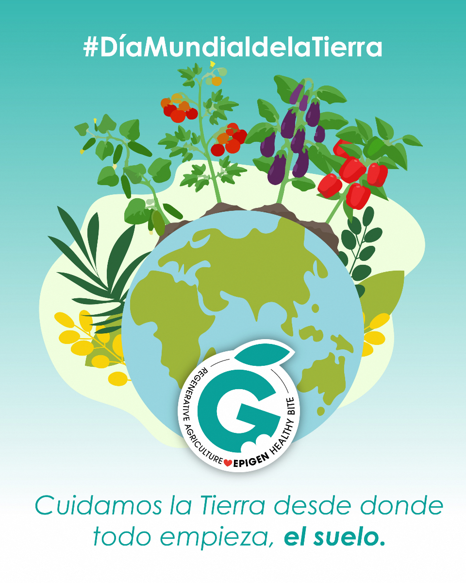 ✔️ Cuidamos la tierra desde donde todo empieza, el #suelo 🌱 

La #AgriculturaRegenerativa con el #DíaMundialdelaTierra 🌍