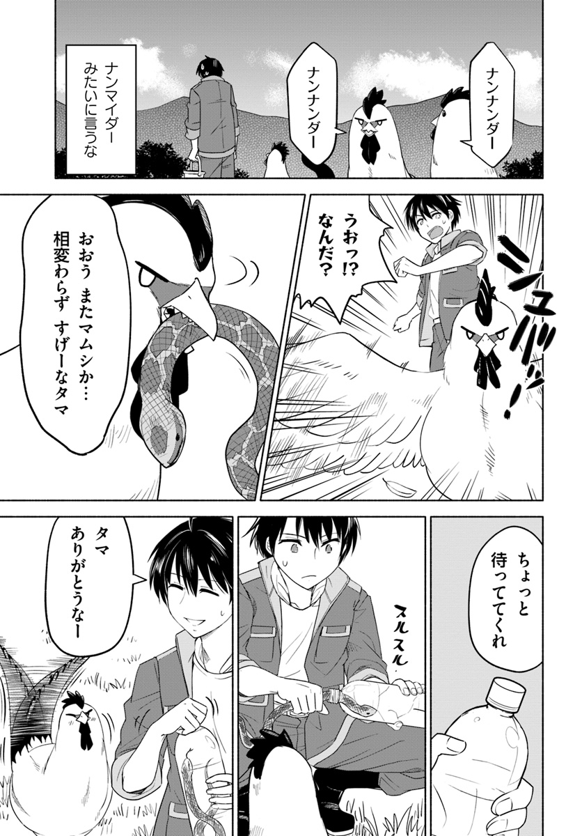 (3/3) 
