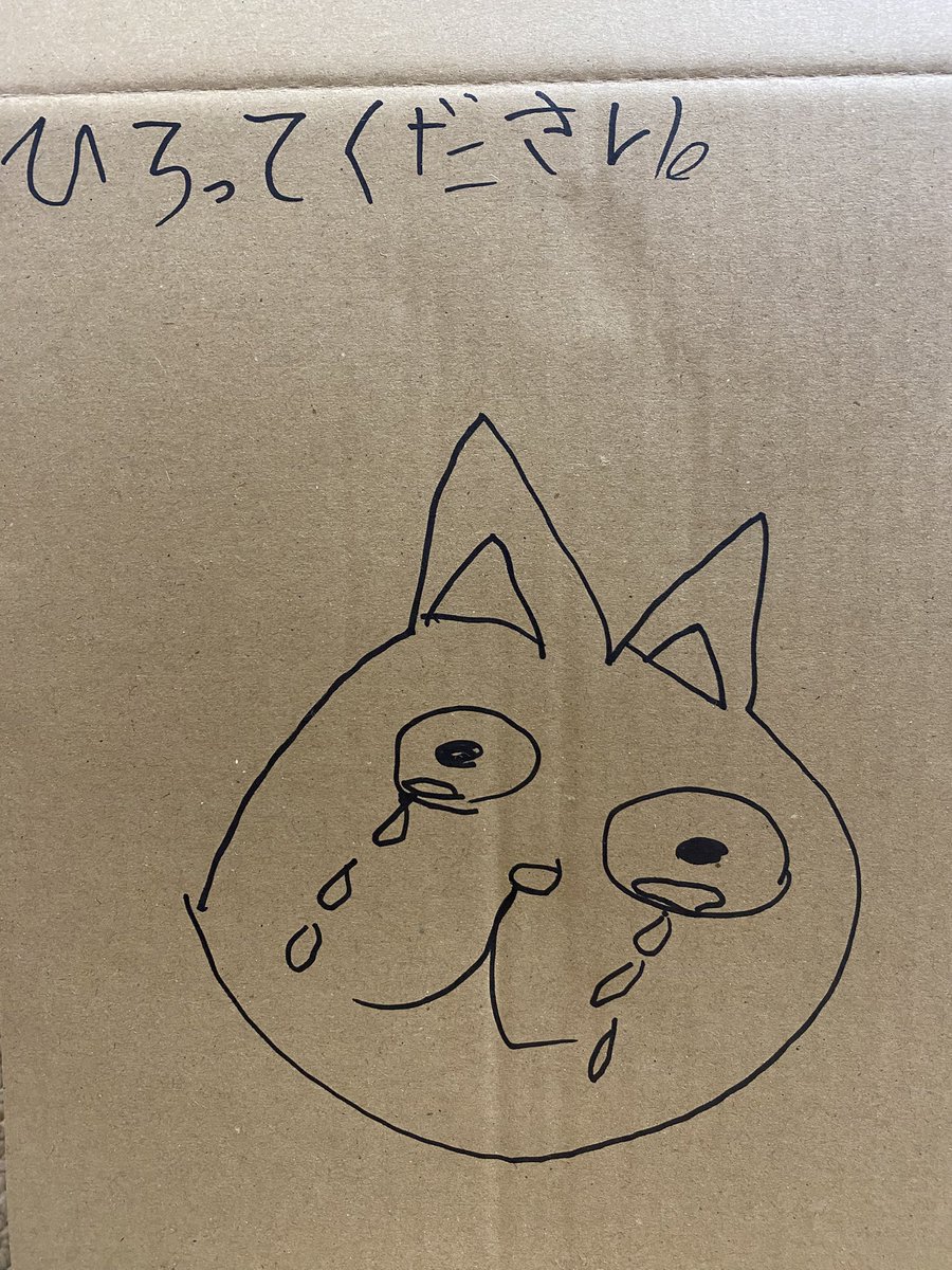 いくらでも拾ったる！