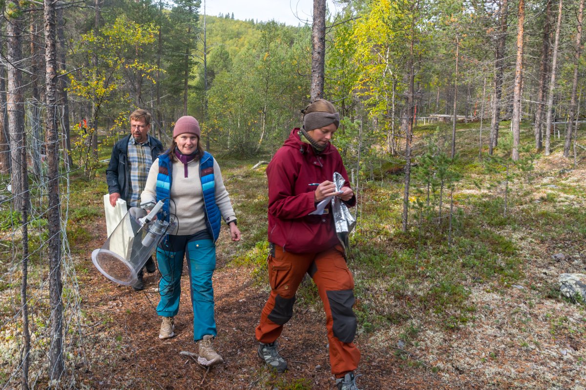 Beyond the sessions: Experience science in context! 🌍
Join us at the first eLTER Science Conference (23–27 June 2025, Tampere, Finland)! 
🗓️ Register by 25 April: elter-ri.eu/science-confer…
Our social programme includes:
🧭 Field trips to Finnish LTER sites
🛠️ Workshops: data, art,