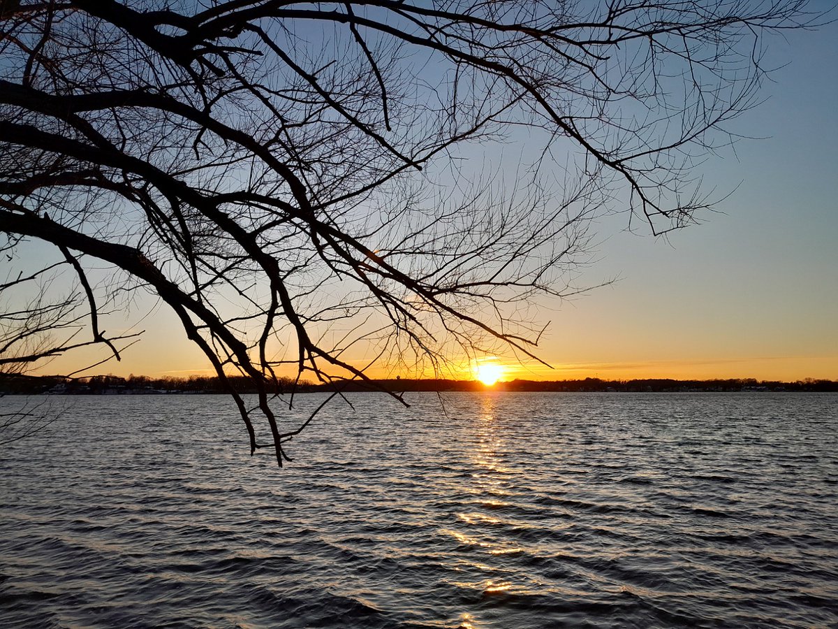 Animoshing tweet media