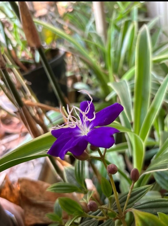 Good Morning Everyone🌄

Wake up with a purpose. Live with actions.